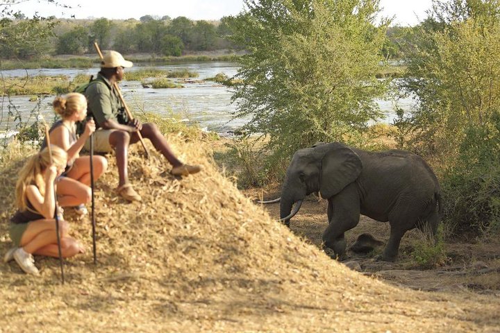 Discover the Wonders of Selous Game Reserve - 4 Days - Image 4