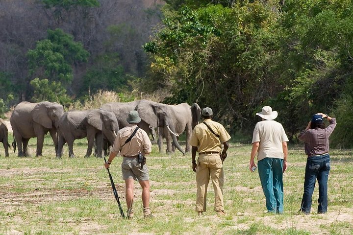Discover the Wonders of Selous Game Reserve - 4 Days - Image 1