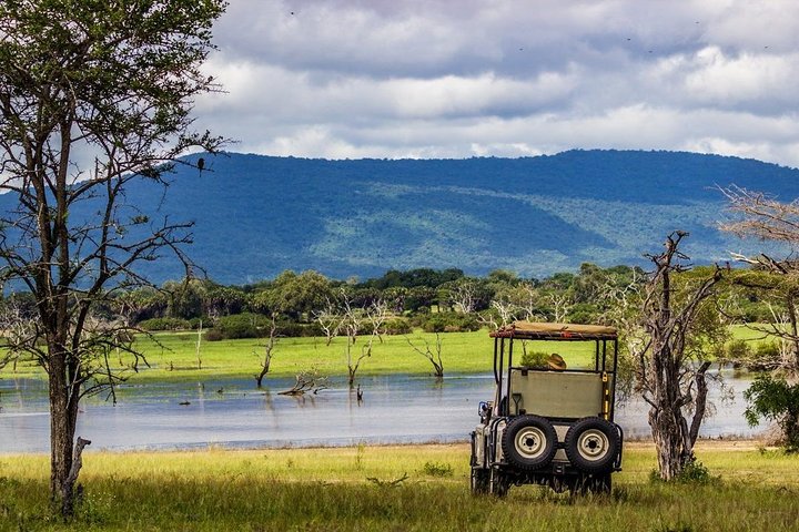Discover the Wonders of Selous Game Reserve - 4 Days - Image 3
