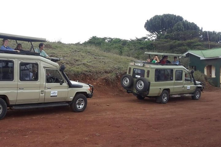Mikumi National Park 2 Days/ 1 Night - Image 2