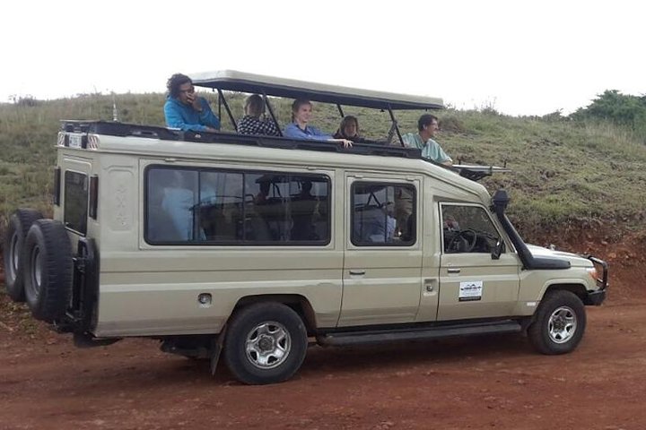 Mikumi National Park 2 Days/ 1 Night - Image 1