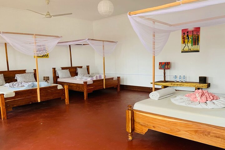 Mikumi National Park 2 Days/ 1 Night - Image 4