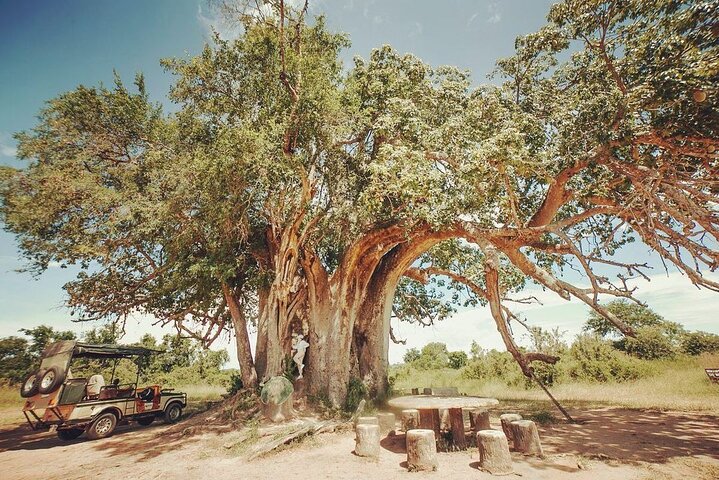 Mikumi National Park 3 Day Tour - Image 2
