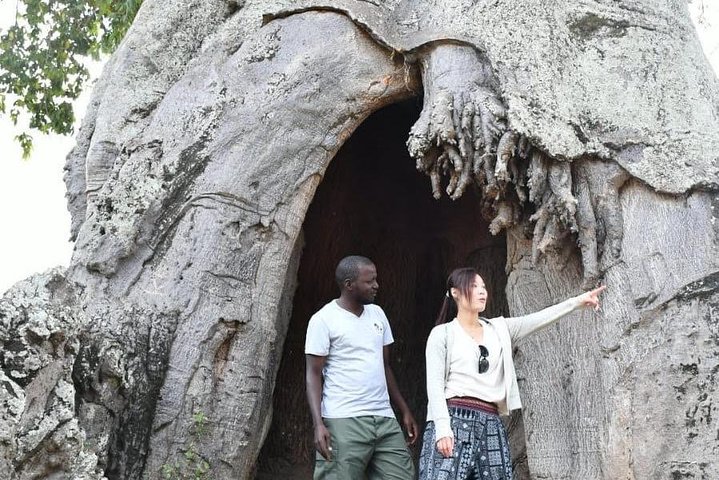  Mikumi National Park - Day trip limited time from Dar es salaam - Image 3