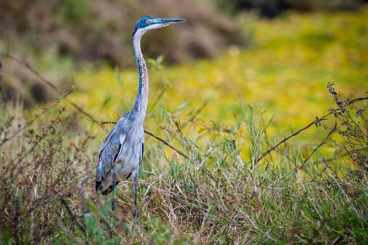Mikumi National Park: Full-Day Private Tour - Image 2