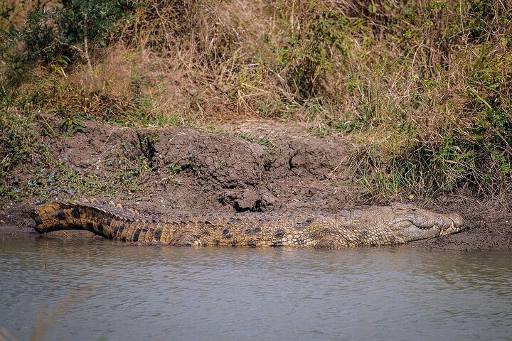 Mikumi National Park: Full-Day Private Tour - Image 5