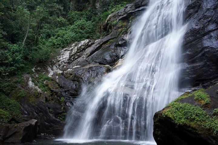 Mikumi National Park & Udzungwa Water Falls 3 Days Group Tour - Image 4