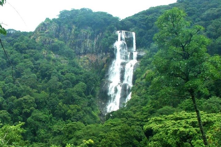 Mikumi National Park & Udzungwa Water Falls 3 Days Group Tour - Image 3