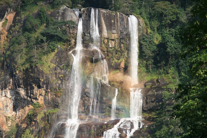 Mikumi National Park & Udzungwa Water Falls 3 Days Group Tour - Image 2