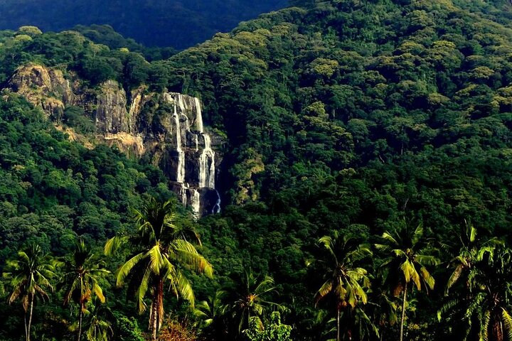 Mikumi National Park & Udzungwa Water Falls 3 Days Group Tour - Image 1