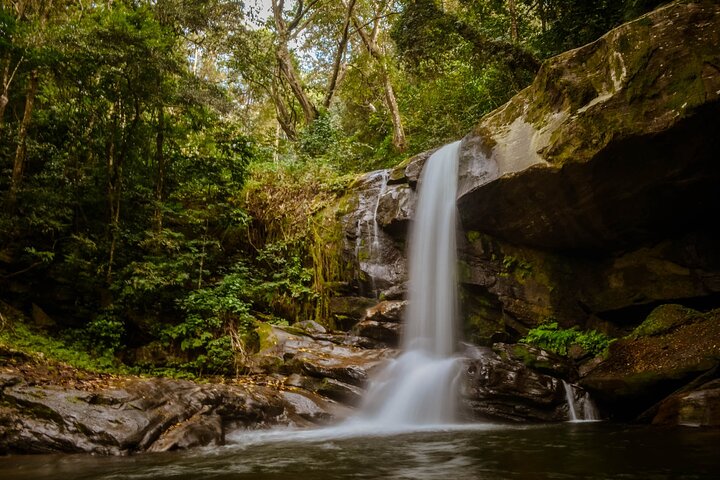 Mikumi National Park & Udzungwa Water Falls 3 Days Group Tour - Image 5
