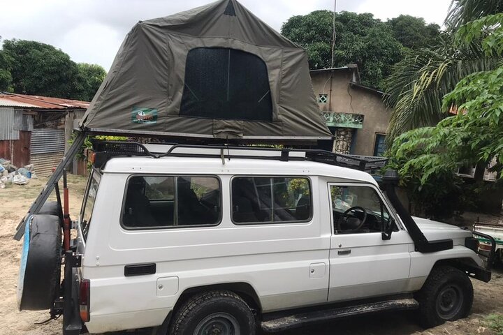 Mikumi Safari One Day - Image 1