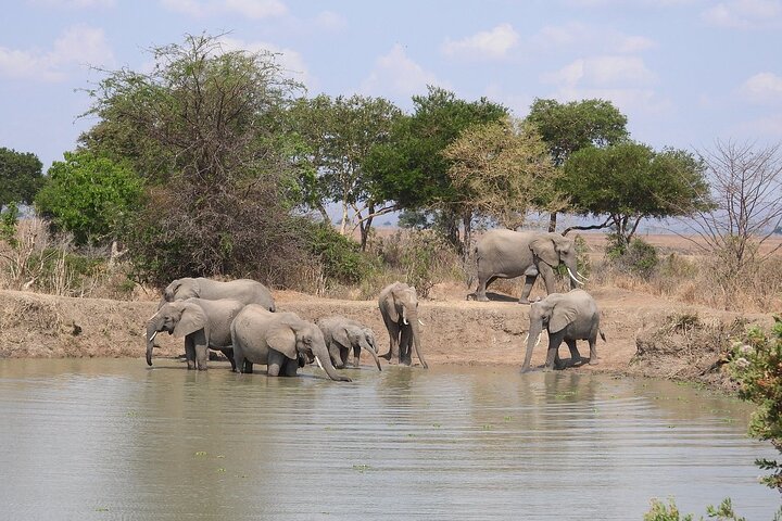 Private 3 Days 2 Nights Mikumi Adventures - Image 5