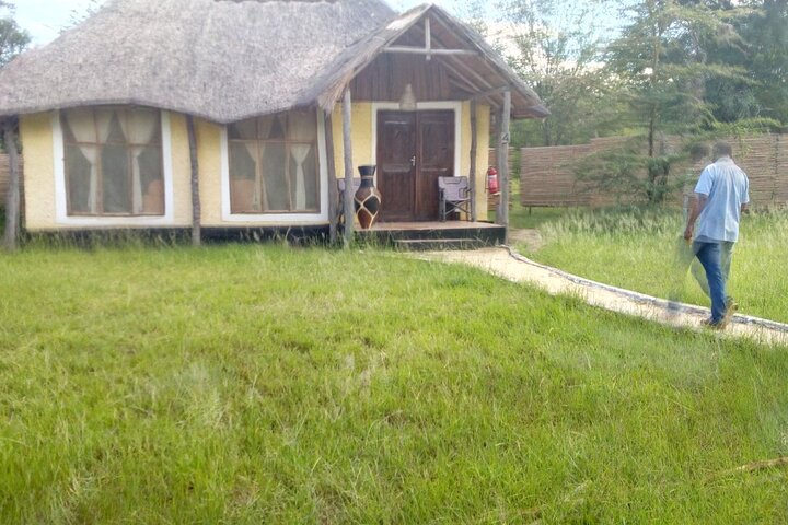 Private 4 Days Mikumi NP Inside the Park and Nyerere NP Tour - Image 5
