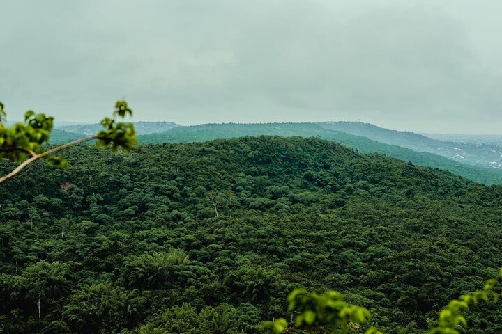 Private Full Day Pugu Hills Eco Cultural Tour in Tanzania - Image 3