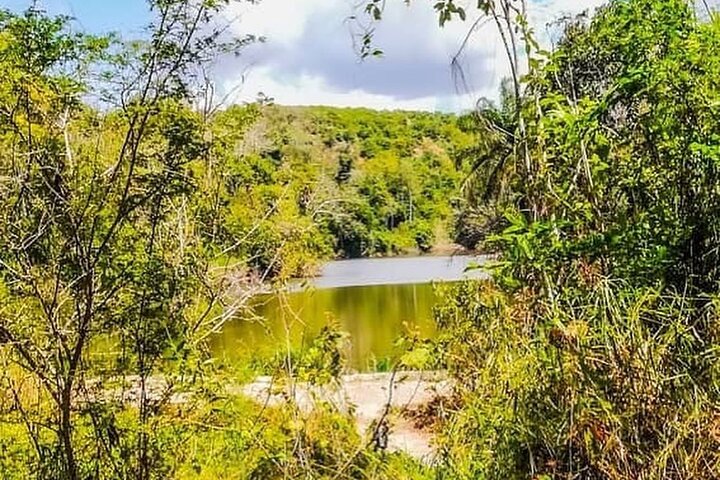 Private Full Day Pugu Hills Eco Cultural Tour in Tanzania - Image 4