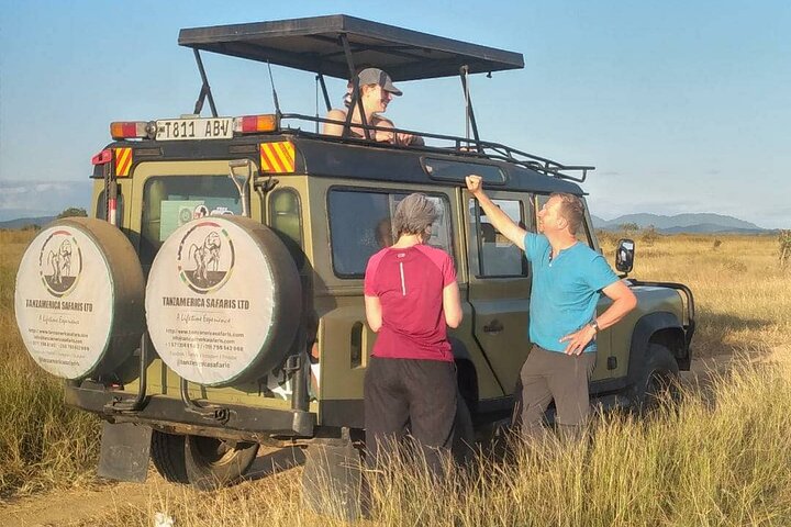 Private Full-Day Trip to Mikumi National Park from Dar es Salaam - Image 3