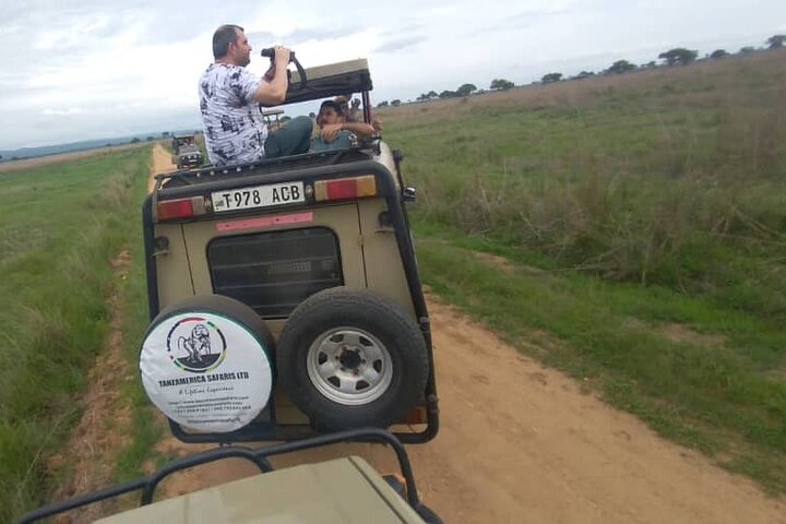 Private Full-Day Trip to Mikumi National Park from Dar es Salaam - Image 5