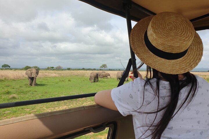 Private Full-Day Trip to Mikumi National Park from Dar es Salaam - Image 1