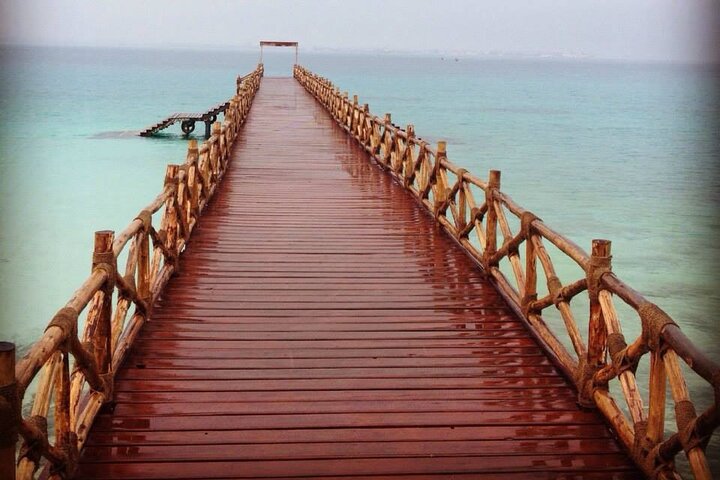 Private Tour to Prison Island - Changuu Private Island - Image 2