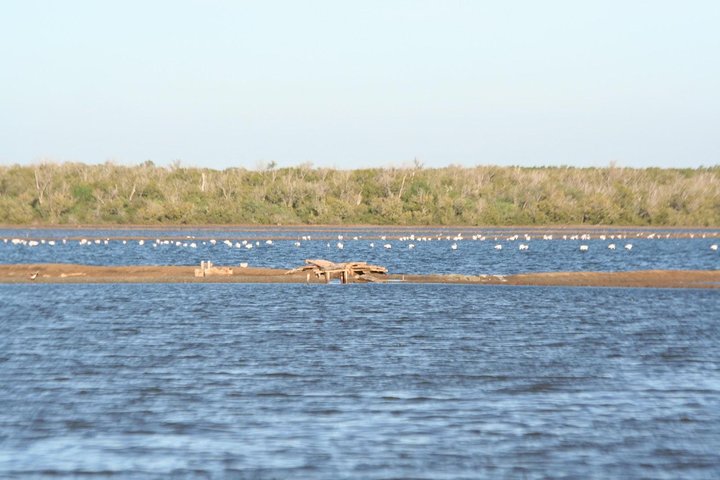 Saadani National park day trip from Dar es salaam - Image 1