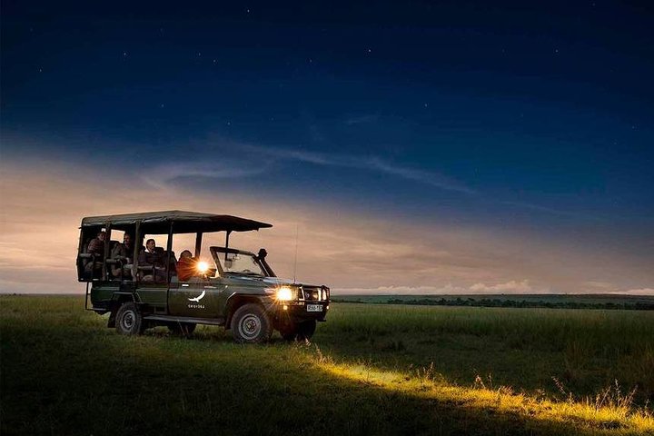 SERENGETI - 4 Days - Image 4