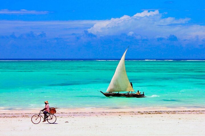 Zanzibar Natural Aquarium and Sun set Cruise at Nungwi Beach  - Image 3