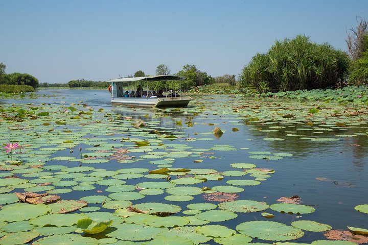 1 Day Corroboree Billabong Wetland Experience including 2.5 hour cruise + lunch - Image 3