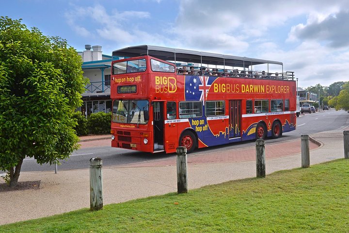 Darwin Shore Excursion: Hop-on Hop-off Bus Tour - Image 2