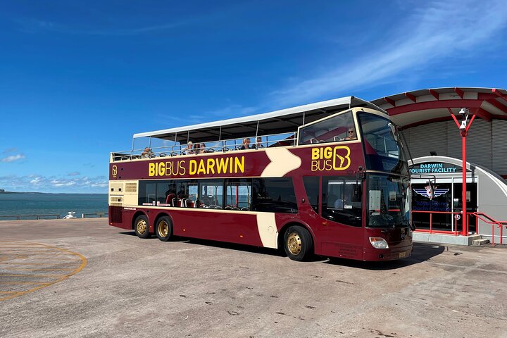 Darwin Shore Excursion: Hop-on Hop-off Bus Tour - Image 1