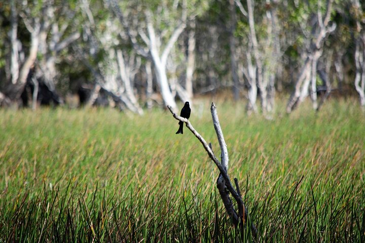 ETHICAL ADVENTURES - 1 Day premium Litchfield tour, Max 10 guests - Image 5