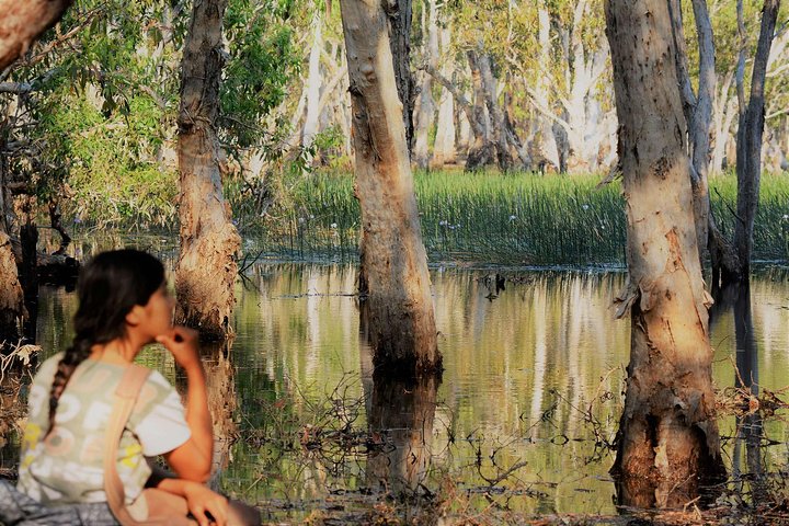 ETHICAL ADVENTURES - 1 Day premium Litchfield tour, Max 10 guests - Image 2