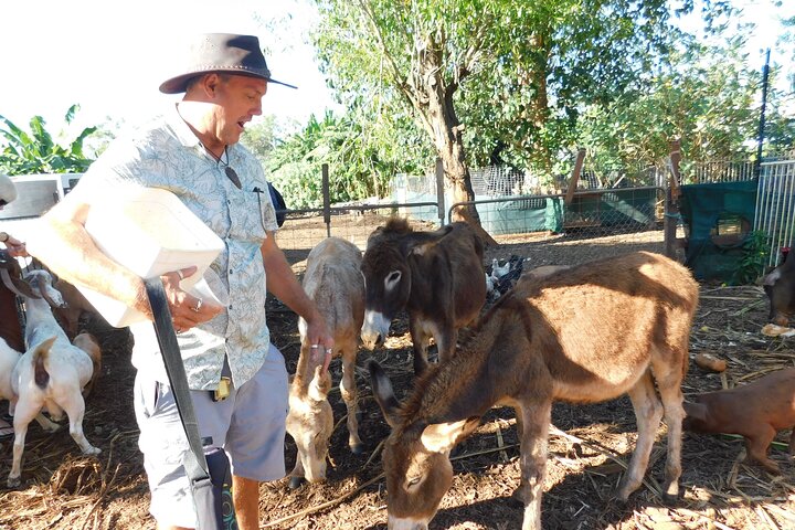 Litchfield Park Adventures and Jumping Crocodile Cruise + Bathchelor Town - Image 3