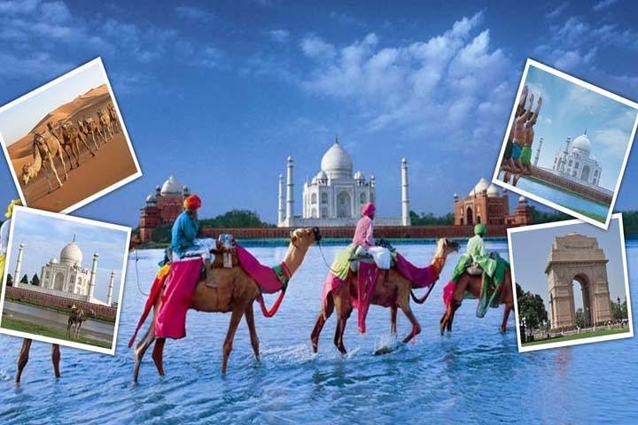 India's Best Seller-Taj Mahal and Agra Fort Tour From Delhi - Image 4