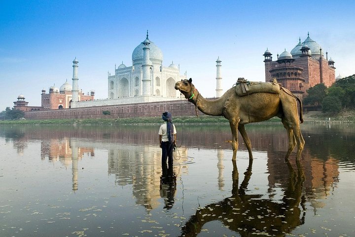 Private Taj Mahal Tour from Delhi by India's Fastest Train - All Inclusive - Image 4
