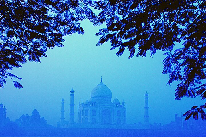 Shore Excursion:Taj Mahal from Kochi/Chennai (with Flights): Luxury Private Tour - Image 5