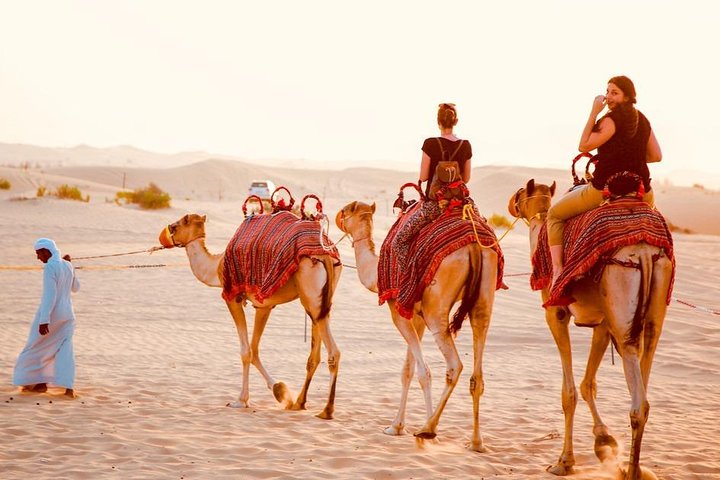 1-Hour Dunes Buggy Self-drive, Camel Riding, Sand Boarding In Red Desert Dunes - Image 4