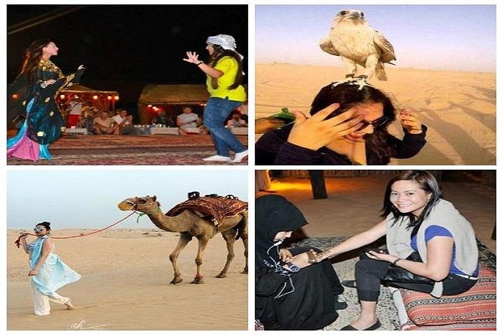 3 in 1 package sale (City tour-Safari-dinner cruise)Outdoor Activities - Image 2