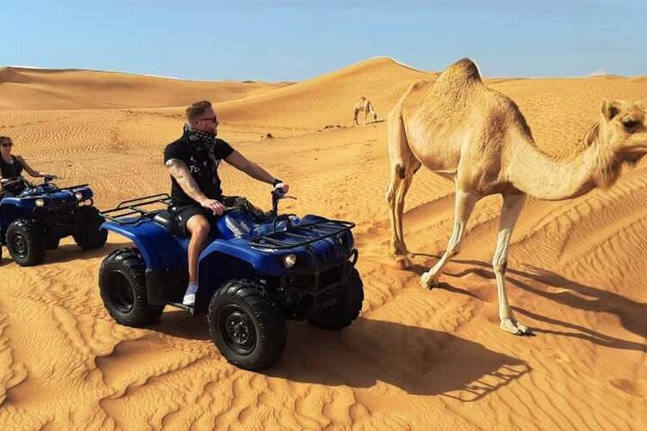 30 Minutes Camel Ride and 30 Quad Bike in Dubai - Image 4