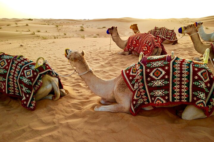 4-Day Private Tour of Dubai with Burj Khalifa & More - Image 2