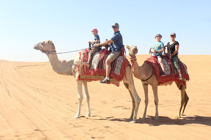 4 Hours Afternoon Desert Safari (private) - Image 5