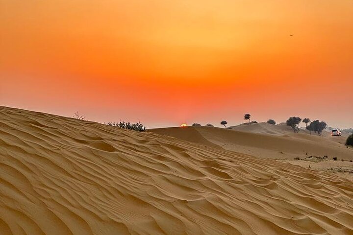 4 Hours Morning Desert Safari in Dubai - Image 3