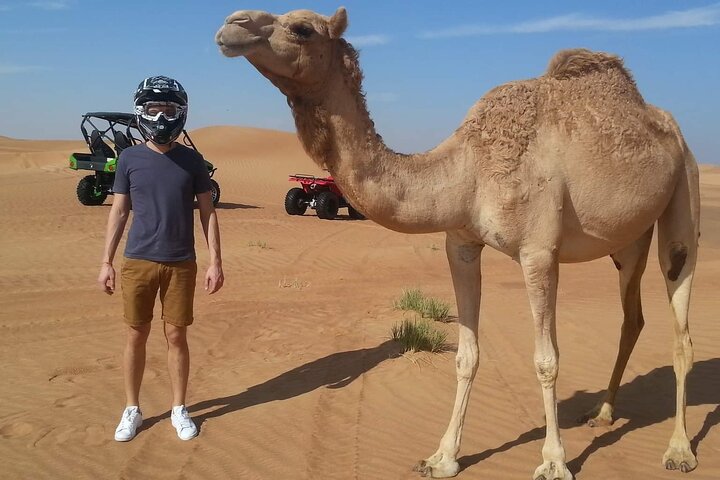 4 Hours Morning Desert Safari in Dubai - Image 5