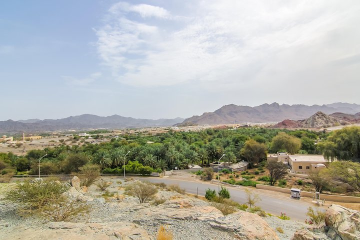 4x4 Hatta Safari to Fossil Rock & Honey Bee Garden visit with Breakfast - Image 4