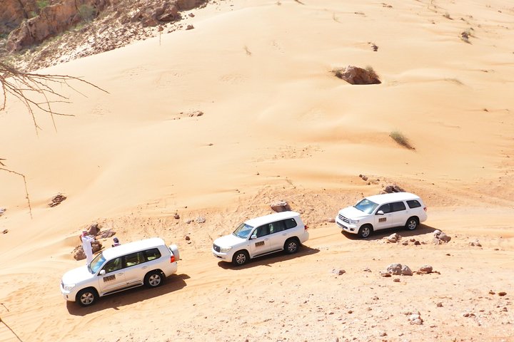 Abu Dhabi city tour and Desert Safari Dubai combo - Image 5