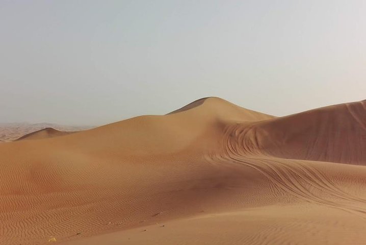 Al Ain city private tour with lunch from Dubai  - Image 4