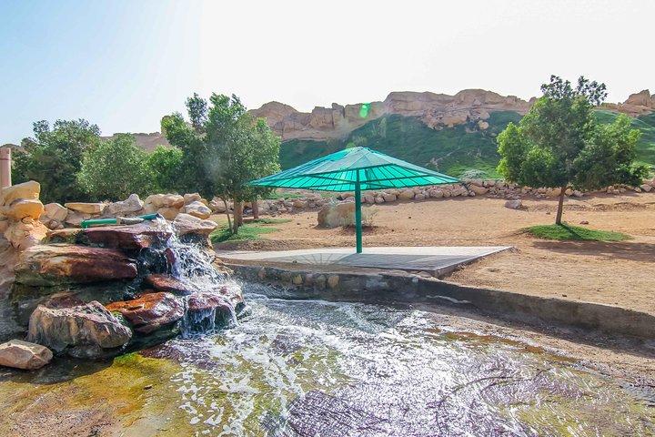 Al Ain City Sightseeing tour with Lunch from Dubai - Image 2