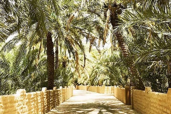 Al Ain City Tour / City of Oasis - Image 3