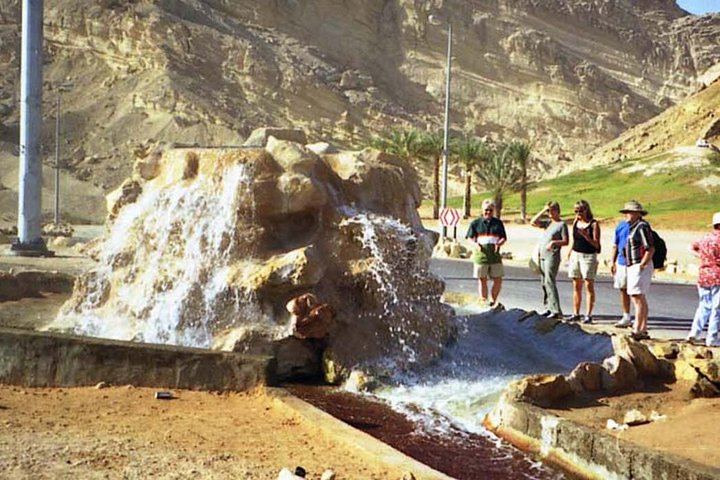 Al Ain City Tour from Dubai (Cultural & Themes tours ) - Image 4