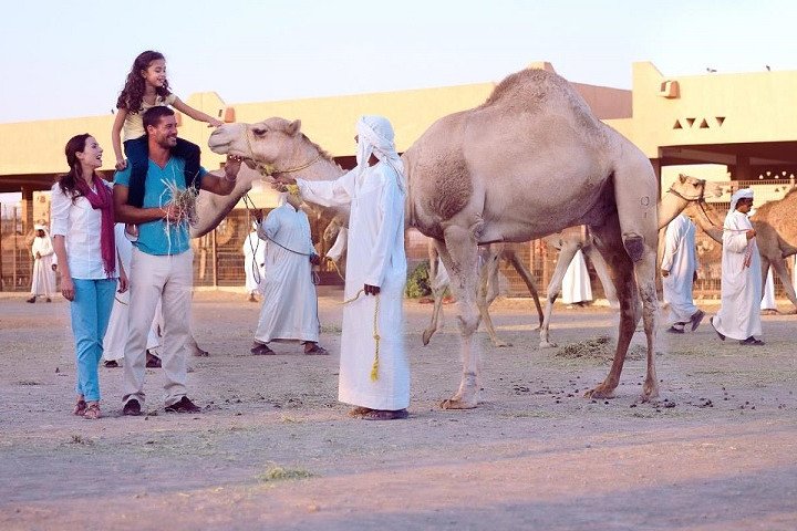 Al Ain City Tour from Dubai (Cultural & Themes tours ) - Image 1